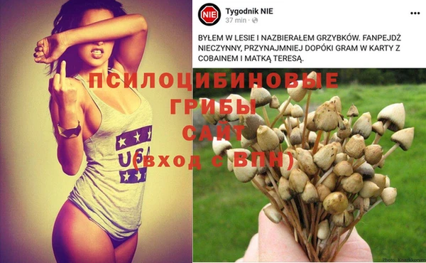 марки nbome Алексин