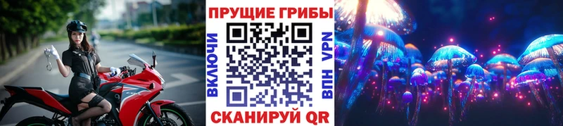 Галлюциногенные грибы мицелий Кола