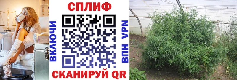 Конопля THC 21%  Кола 